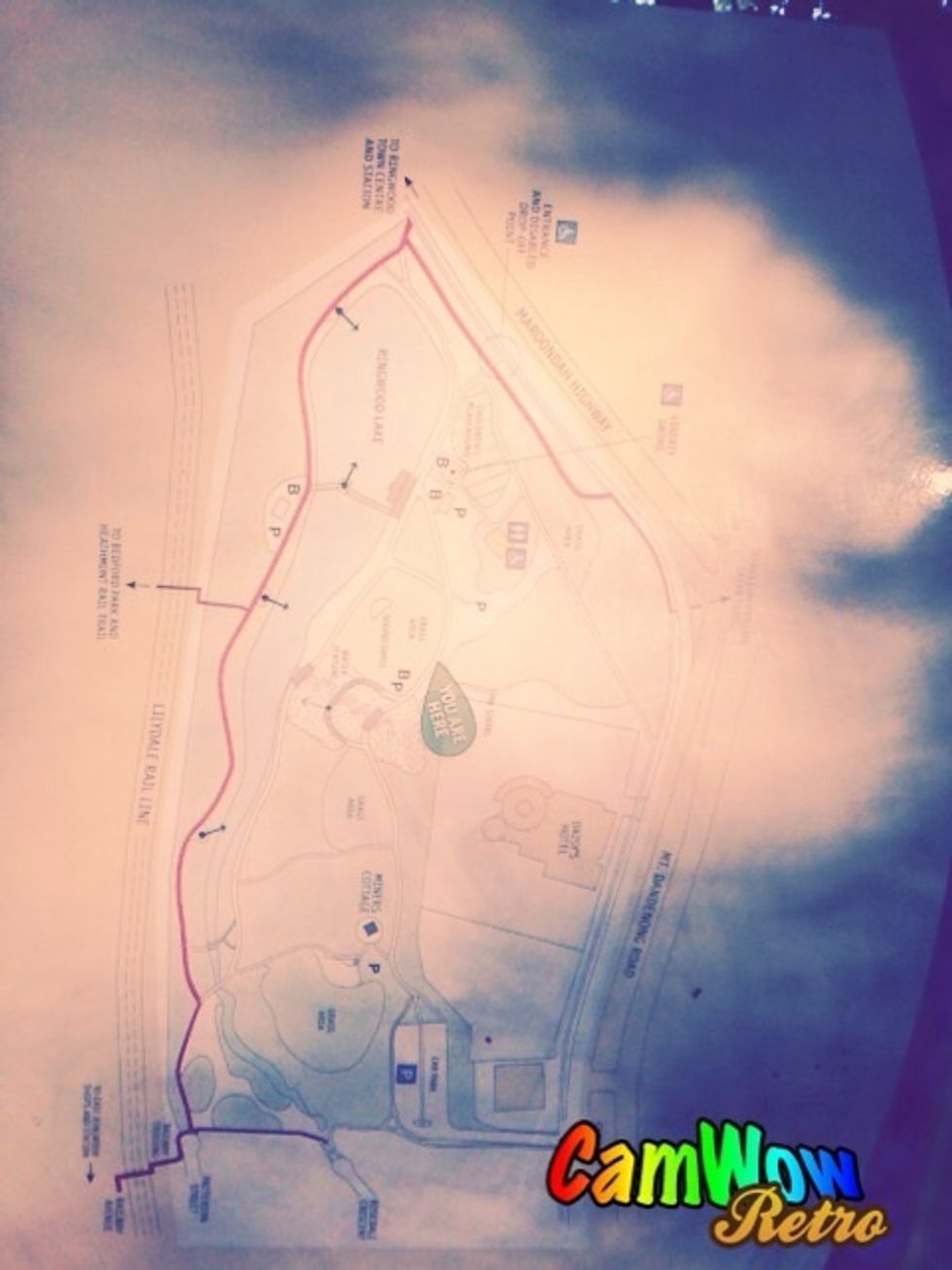 Maps