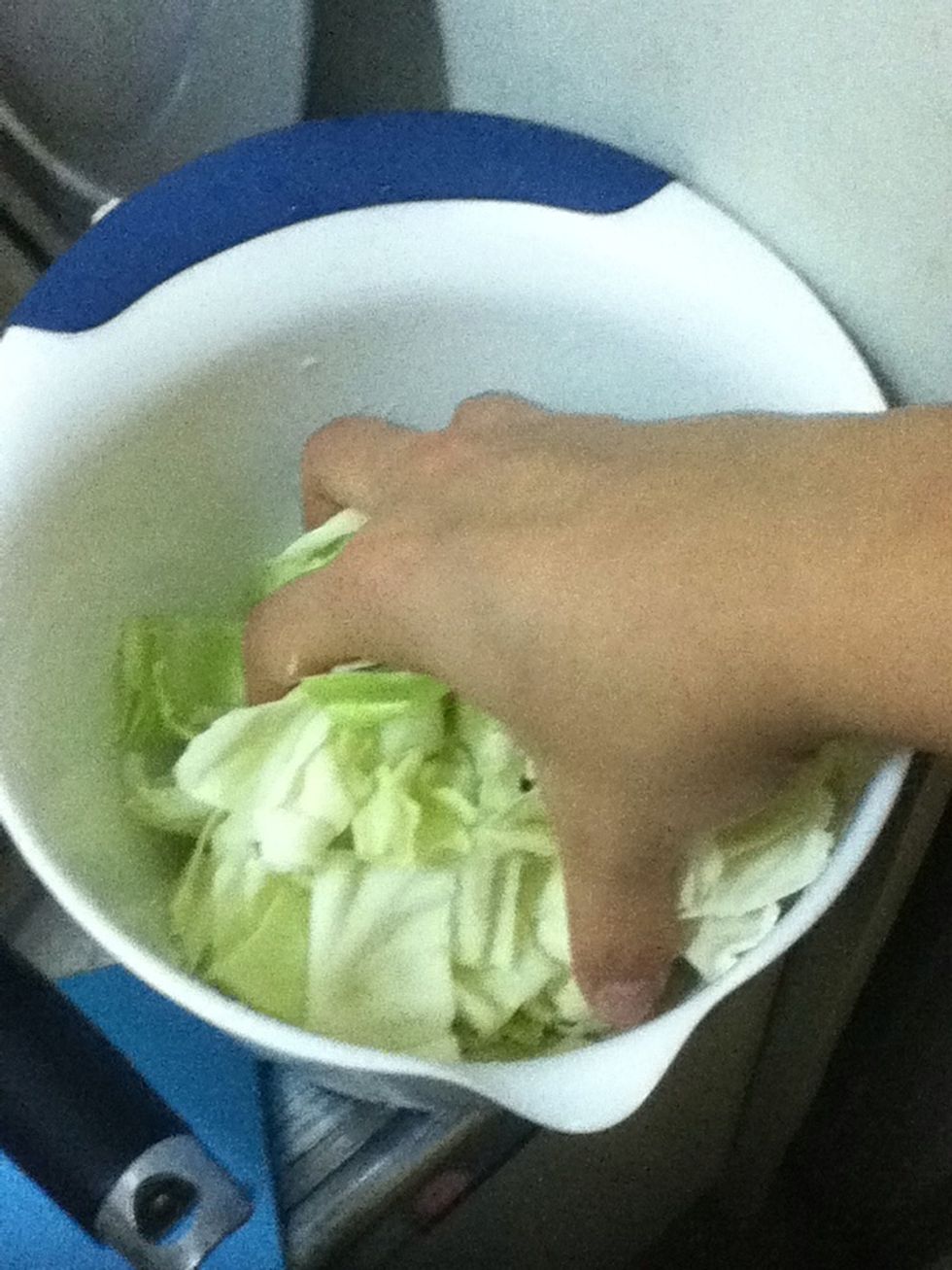 Marinate well by squeezing hard and mix well. Let sit for about 15min + .