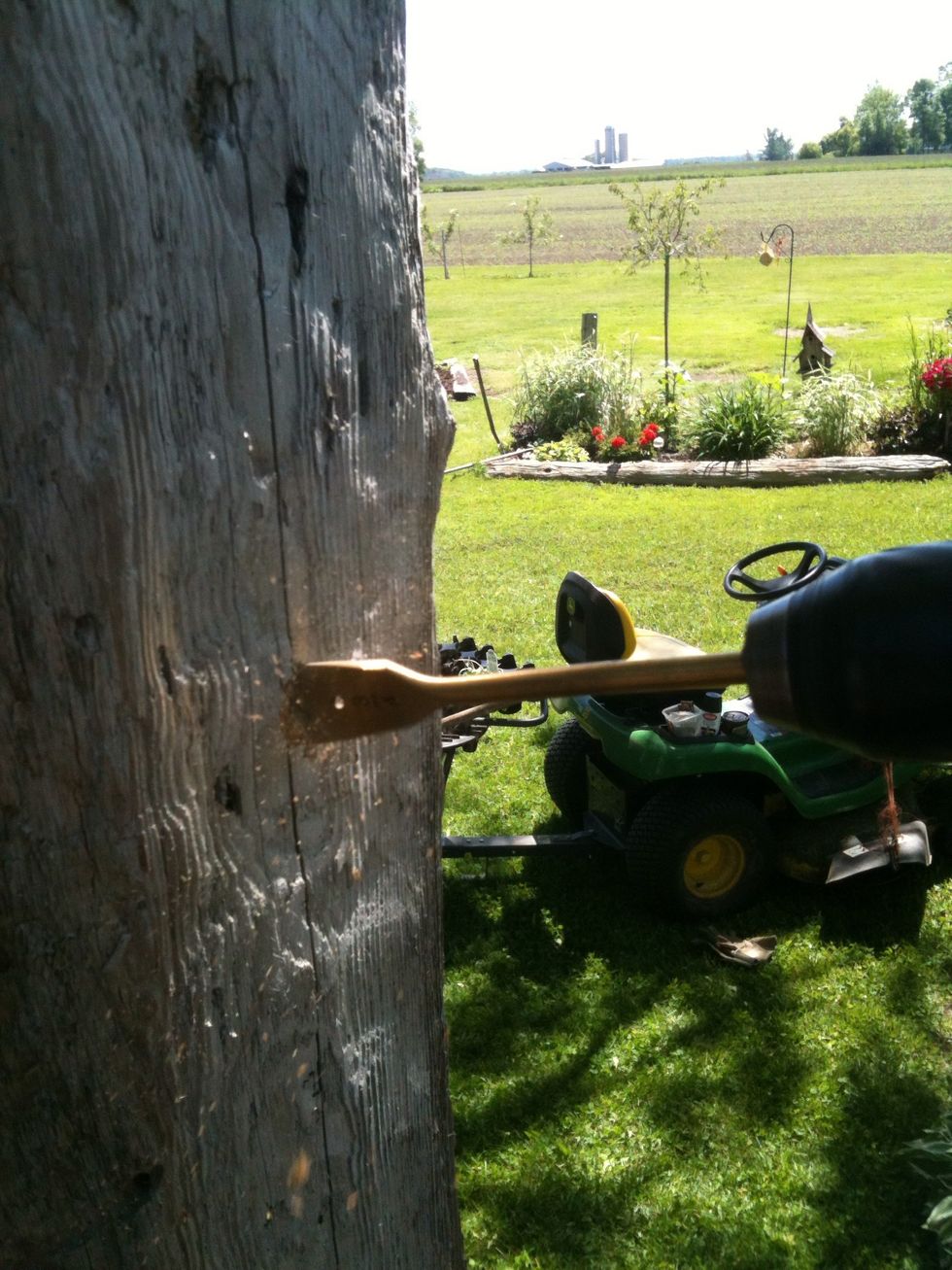 Mark a spot where you want to put your spikes and start drilling. We used a 3/4" spade bit and drilled in about 3"-4" deep to hold the spike.