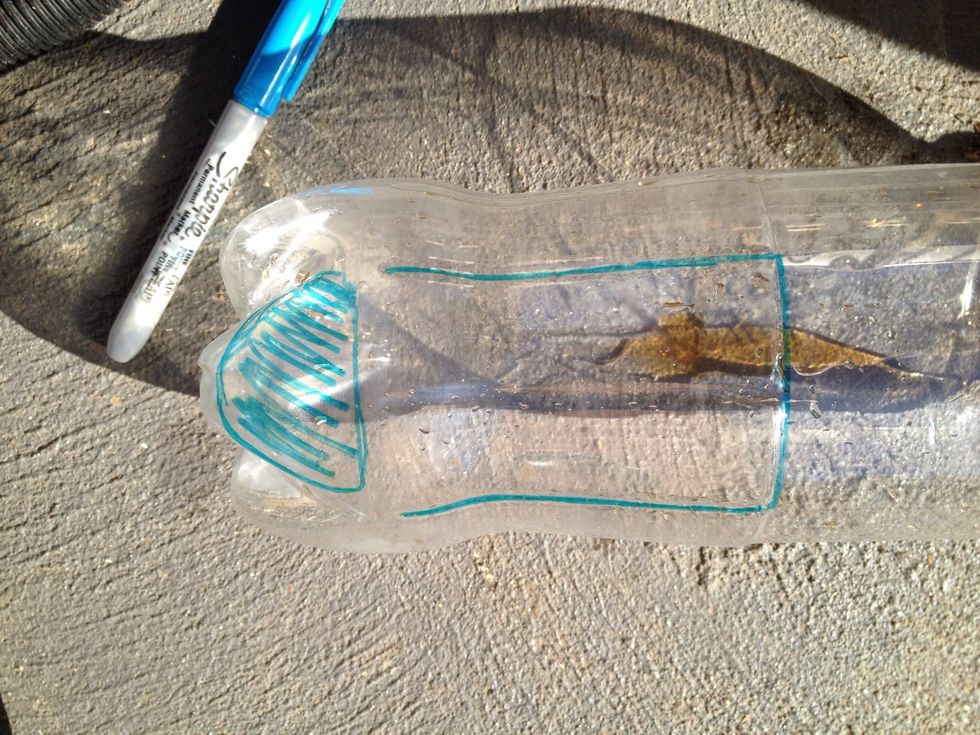 Mark plastic drink containers where u will cut. The blue indicates cutting area.