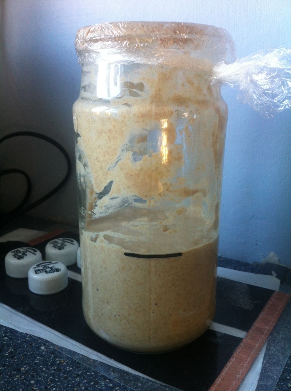 ...mark the jar - just for fun to see how fast it grows. You now do this stage, throwing half away and feed, every 12 hours.