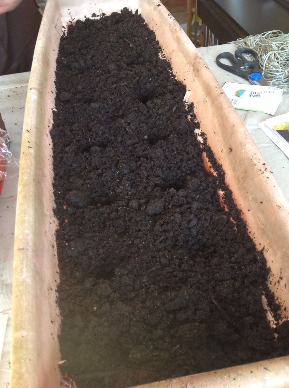 Mark the spots where you're going to place the plants. If you're square-foot gardening you can go about half the recommended spacing.