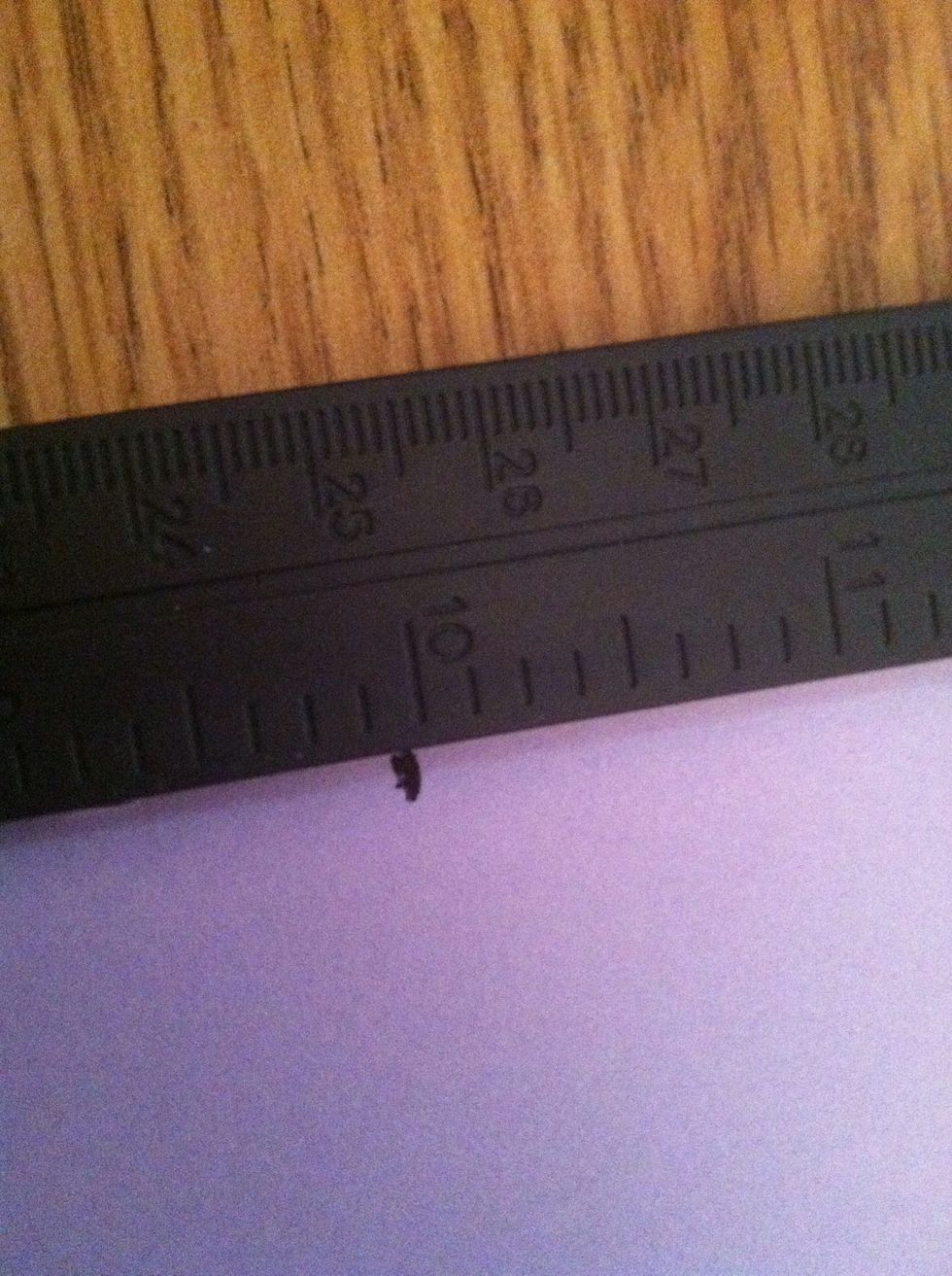 Mark your measurement. (: