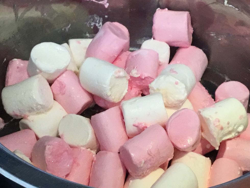 Marshmallows in