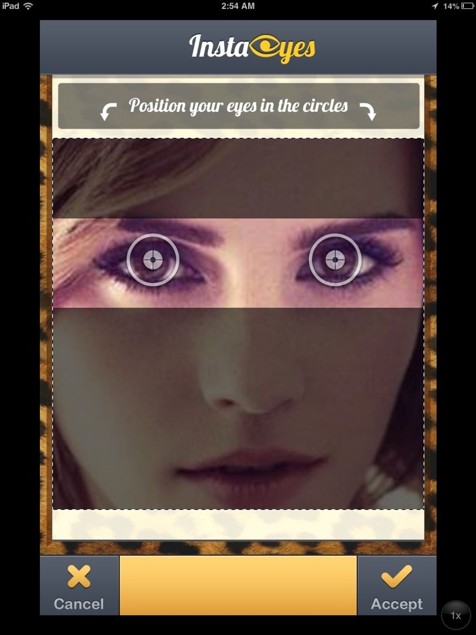 Match the eyes.