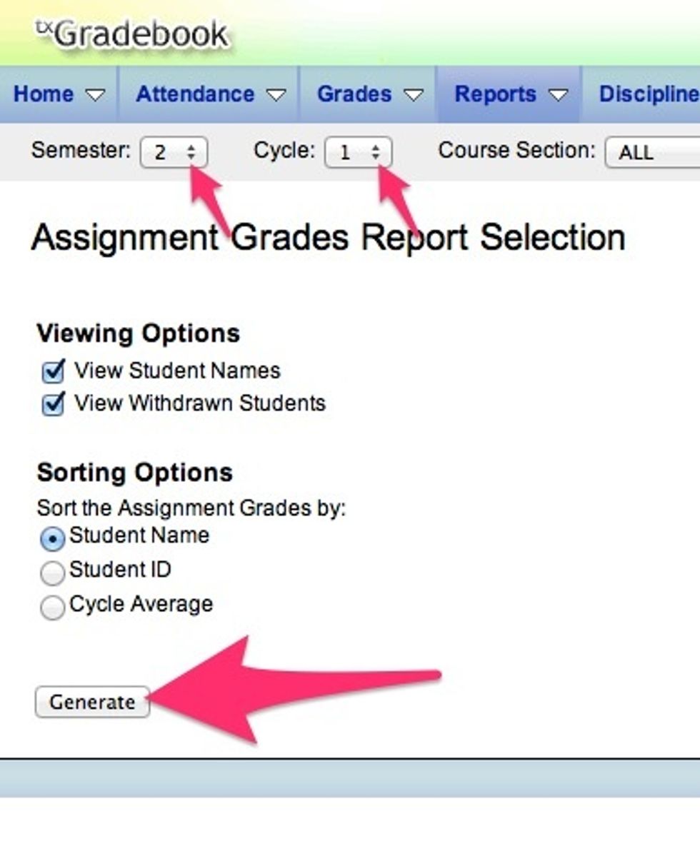 Match your options to this picture. Select Generate.