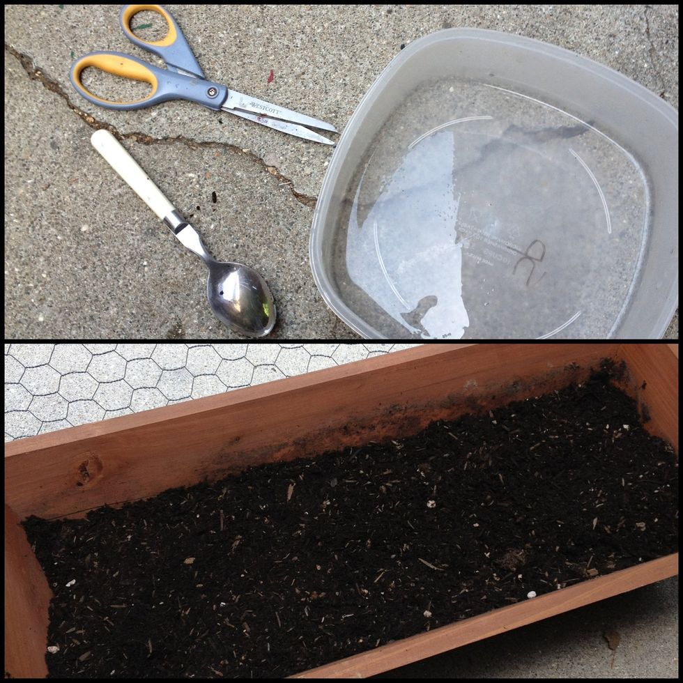 Materials: a planter box with soil, pair of scissors, trowel (I only had a spoon), Tupperware to hold soil, and of course your selection of 5-6 succulents.