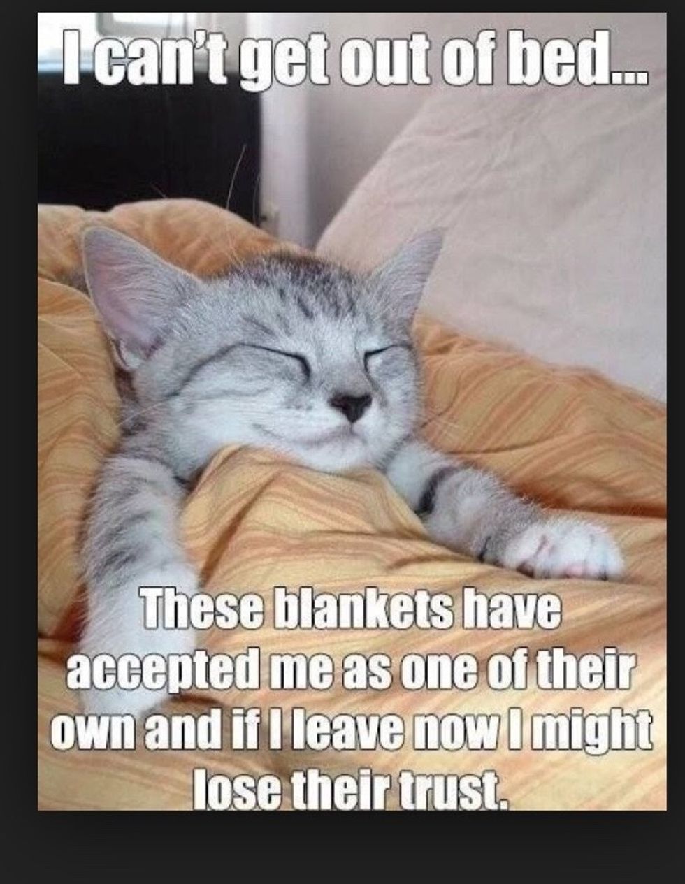 Me every morning