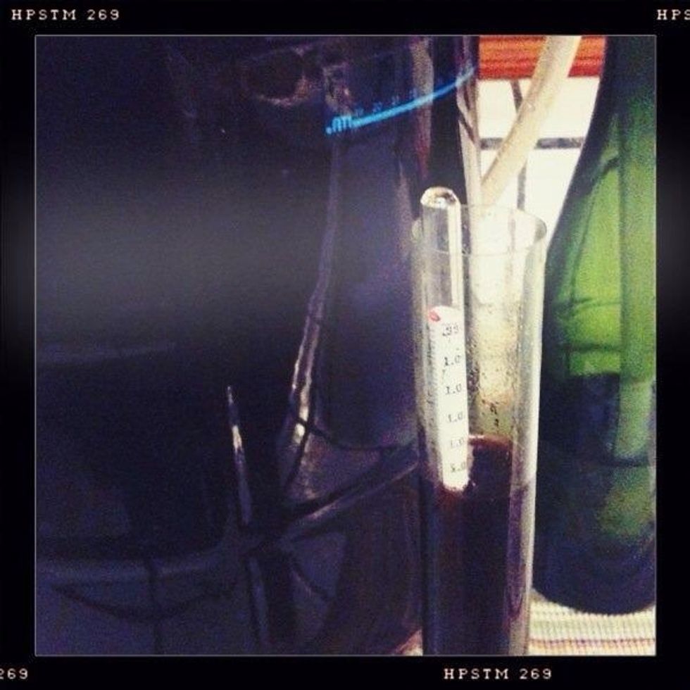 Measure and record the gravity of the wort with a hydrometer.