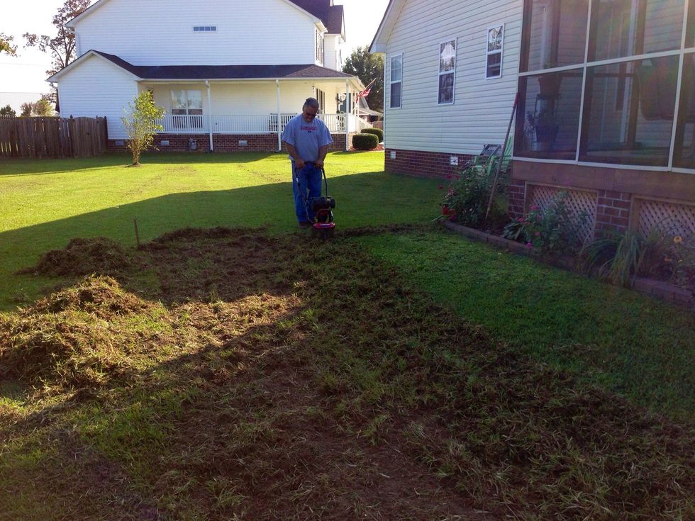 Measure area and till up the grass