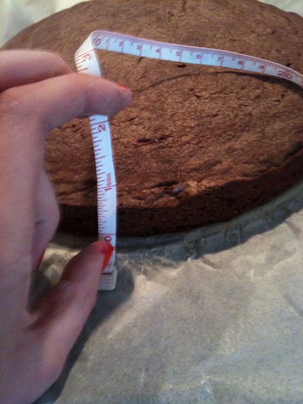 Measure height