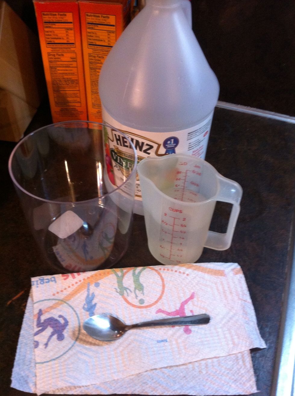 Measure out 1 1/2 cups Vinegar, pour into Container.