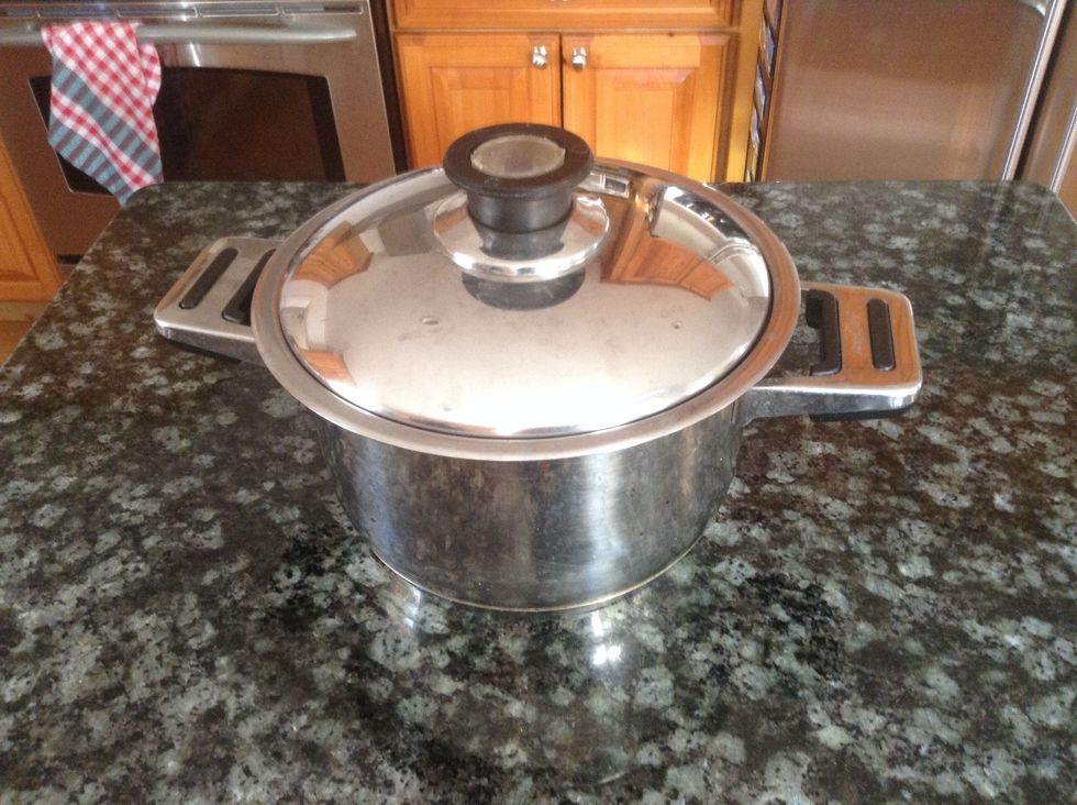 Medium Pot. Used to cook soup, steam veggies,etc. I can use it to cook soup.