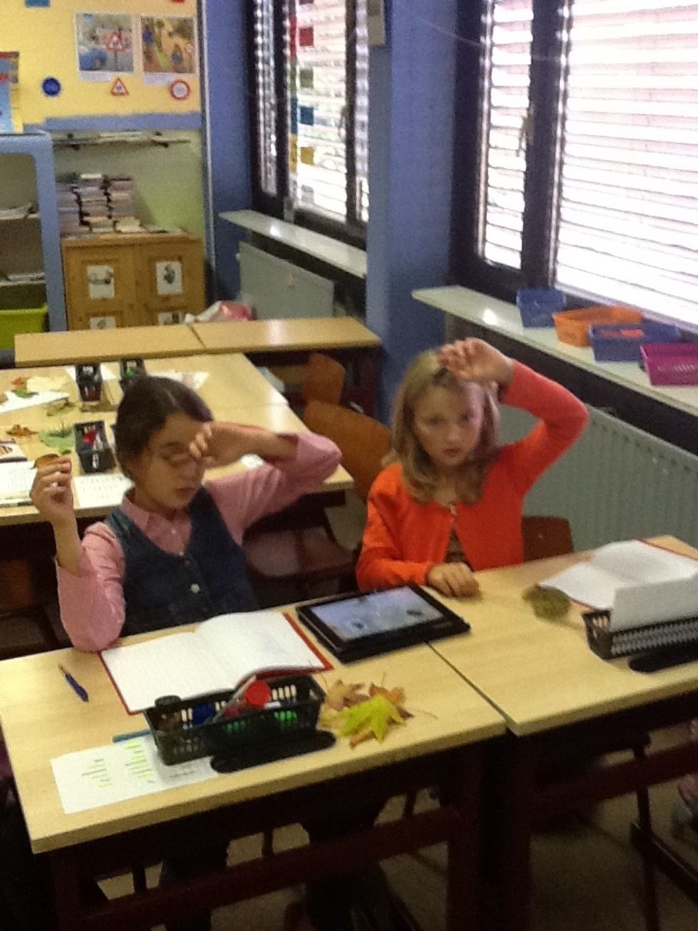 Meester ik vind niets anders