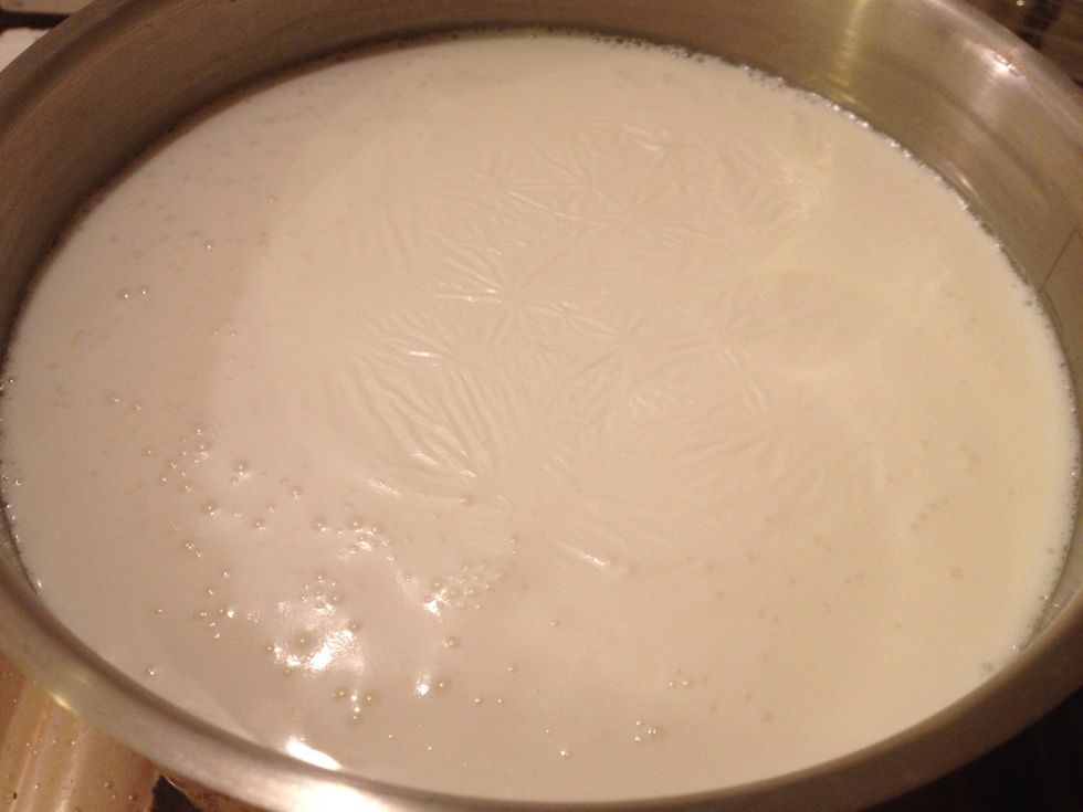 Mettez le lait \u00e0 chauffer avec l'extrait de vanille et faites bouillir. Baissez le feu, ajoutez le sucre et faites-le se dissoudre. Pr\u00e9chauffez le four \u00e0 40-50\u00b0C.