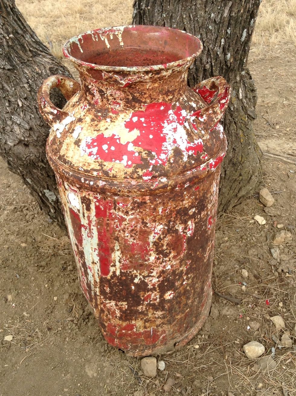 Milk can we used this a long time ago to deliver milk!
