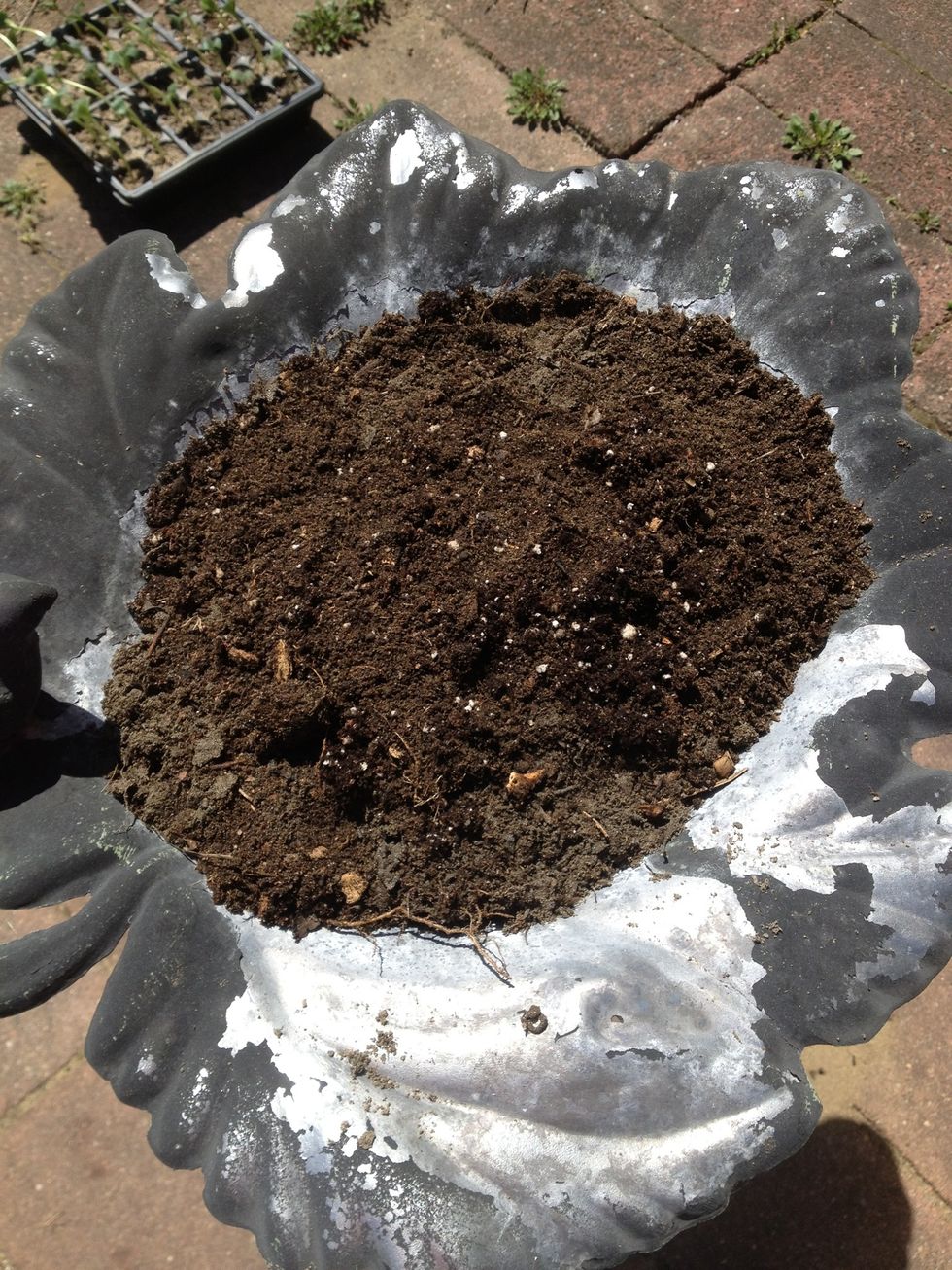 How to reuse a broken bird bath B+C Guides