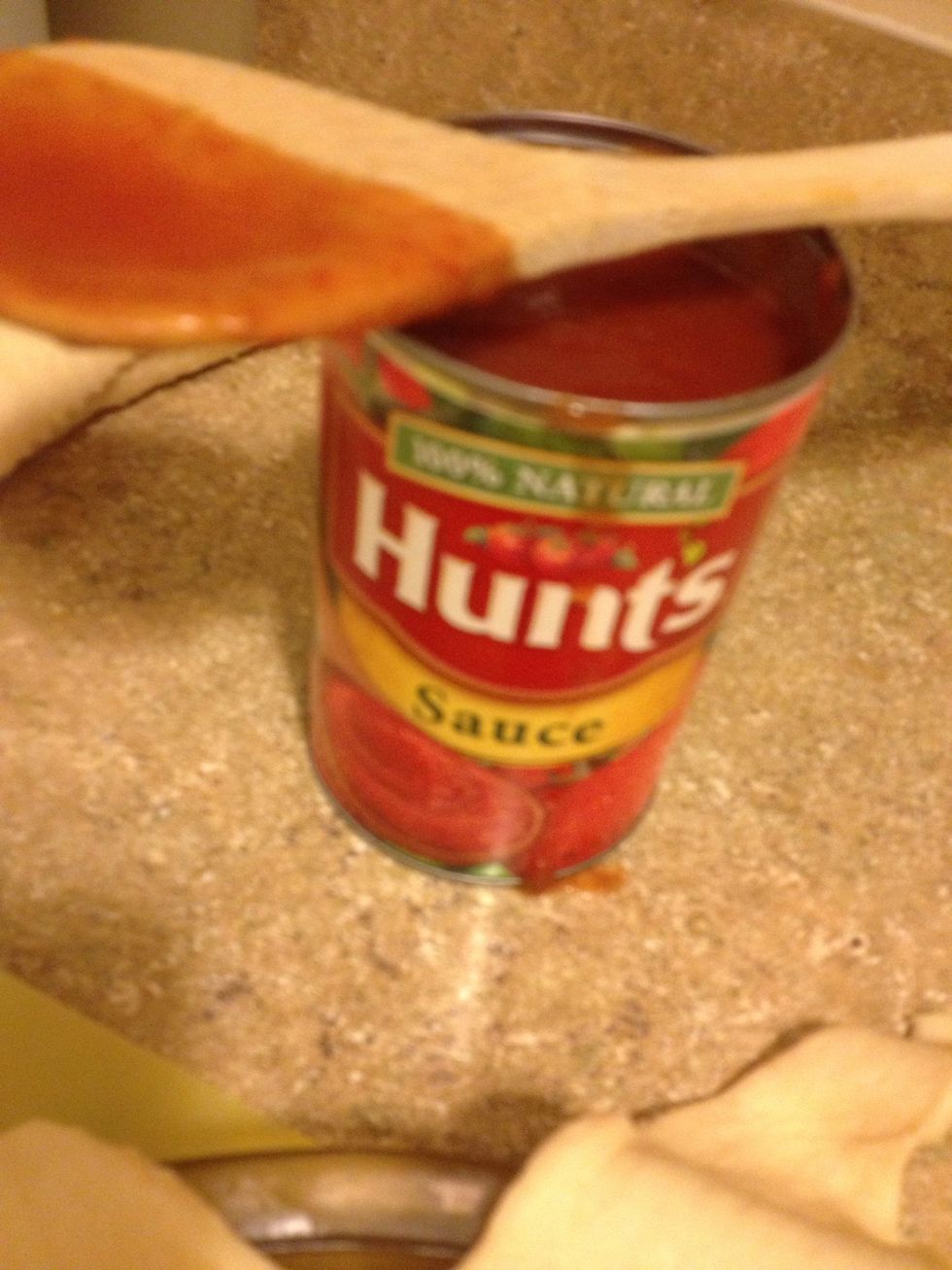 Mix about 1/4 cup tomato sauce