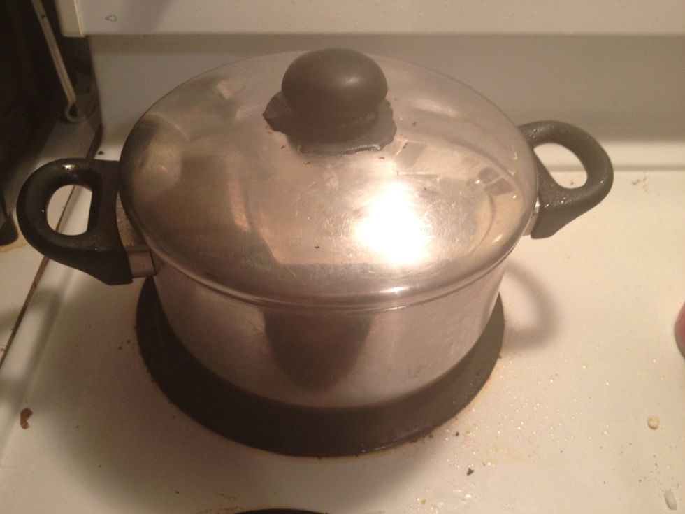 Mix all these together very well switch the heat to some lower settings and put the cover on and chill out for 30-40 minutes. Make sure you check on it tho causally and mix it can also add salt/pepper