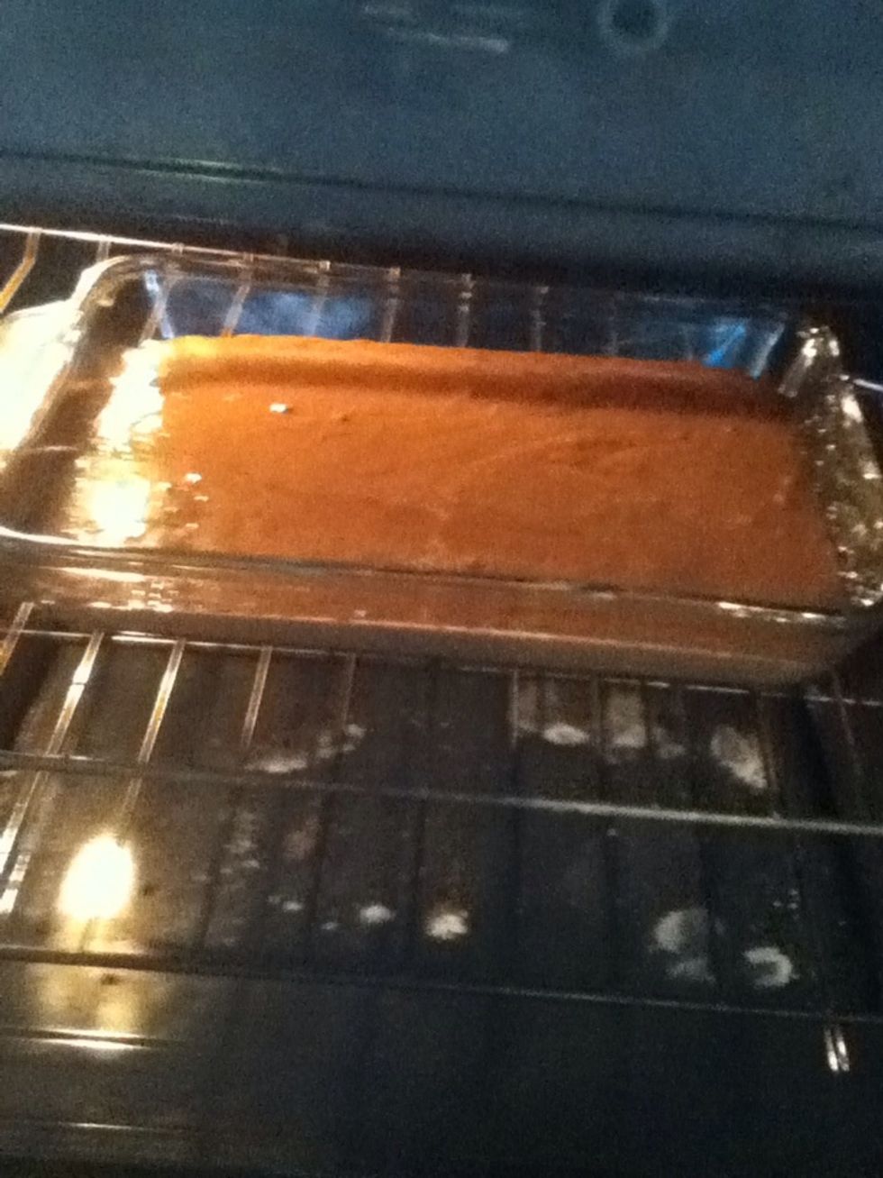 Mix and Bake cake as directed in a 9 x 13" pan.