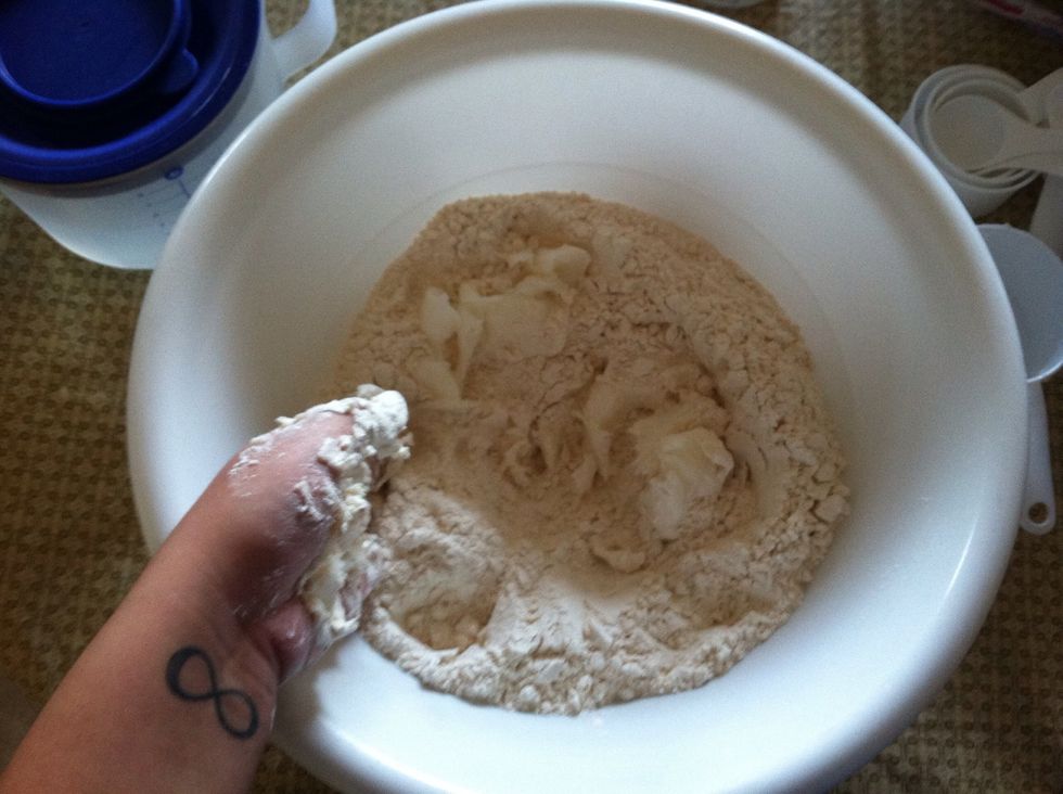 Mix and squeeze the lard, flour, and salt. Squeeze?? Yeah, it's the best way to break up the lard...