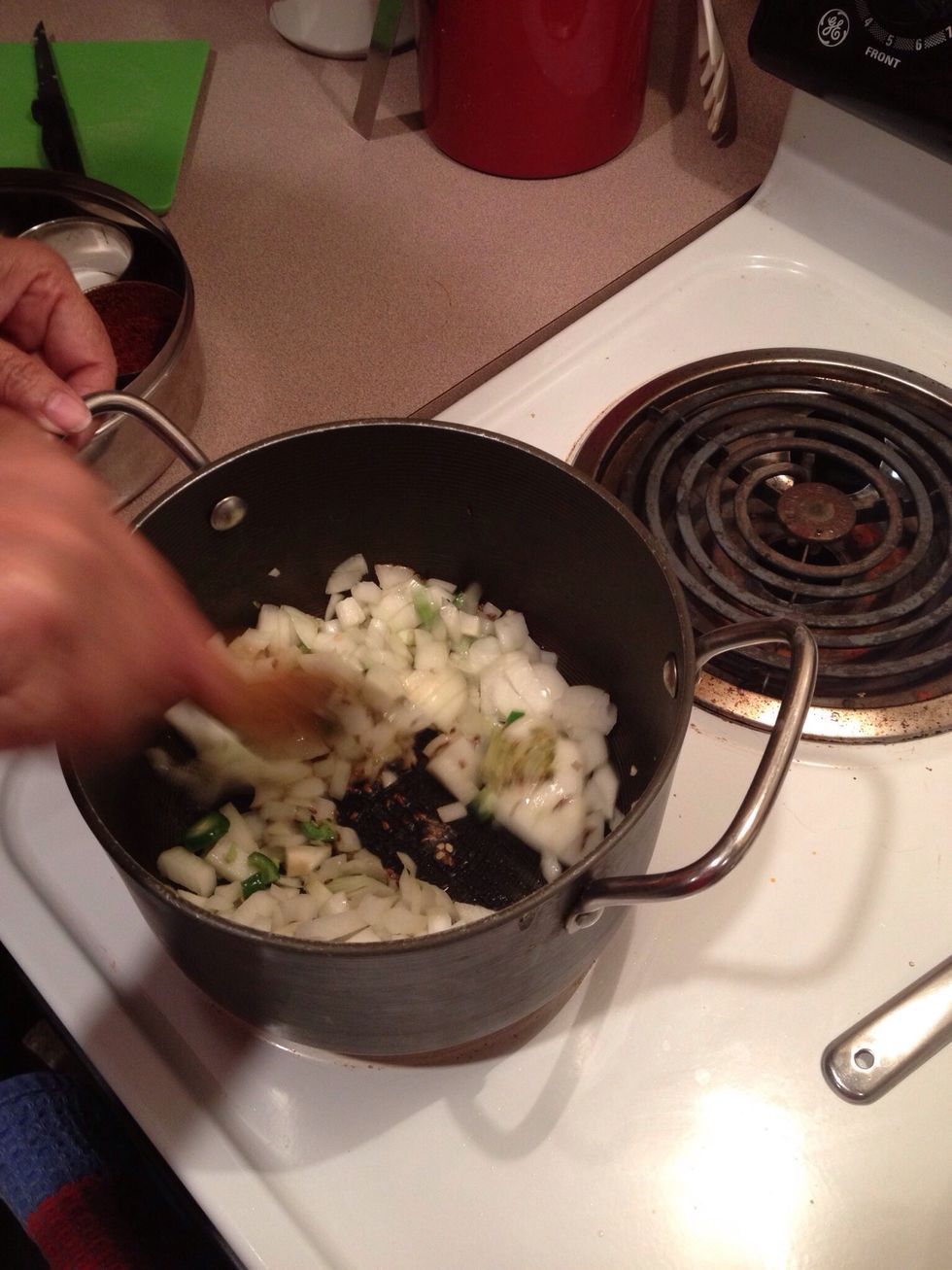 Mix and stir until the onions begin to brown