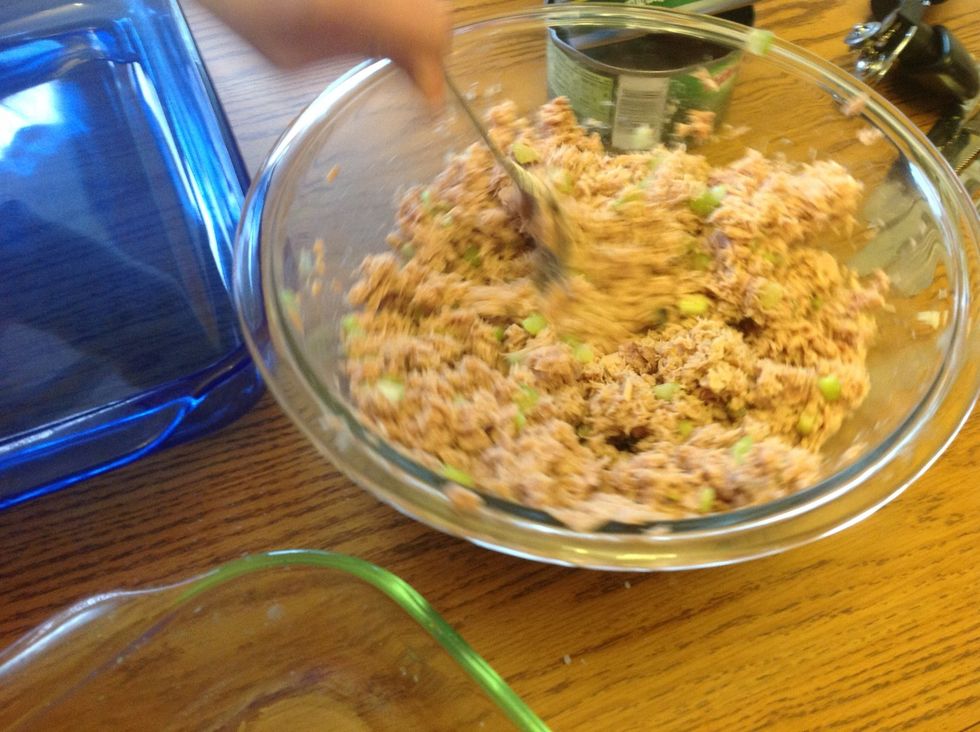 Mix celery, drained tuna, and a lime