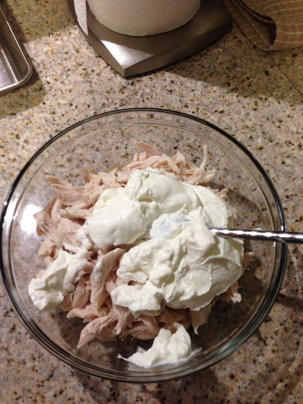 Mix chicken breast and lite sour cream in glass bowl. Add salt to taste.