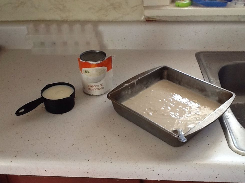 Mix cream of mushroom soup and one cup milk, add to baking dish