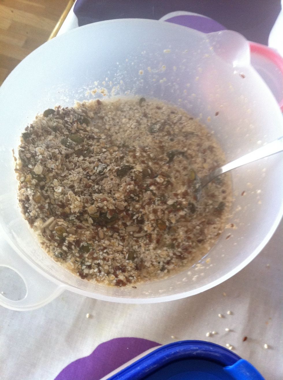 Mix everything else together except the cheese and then add the water/oil mix
