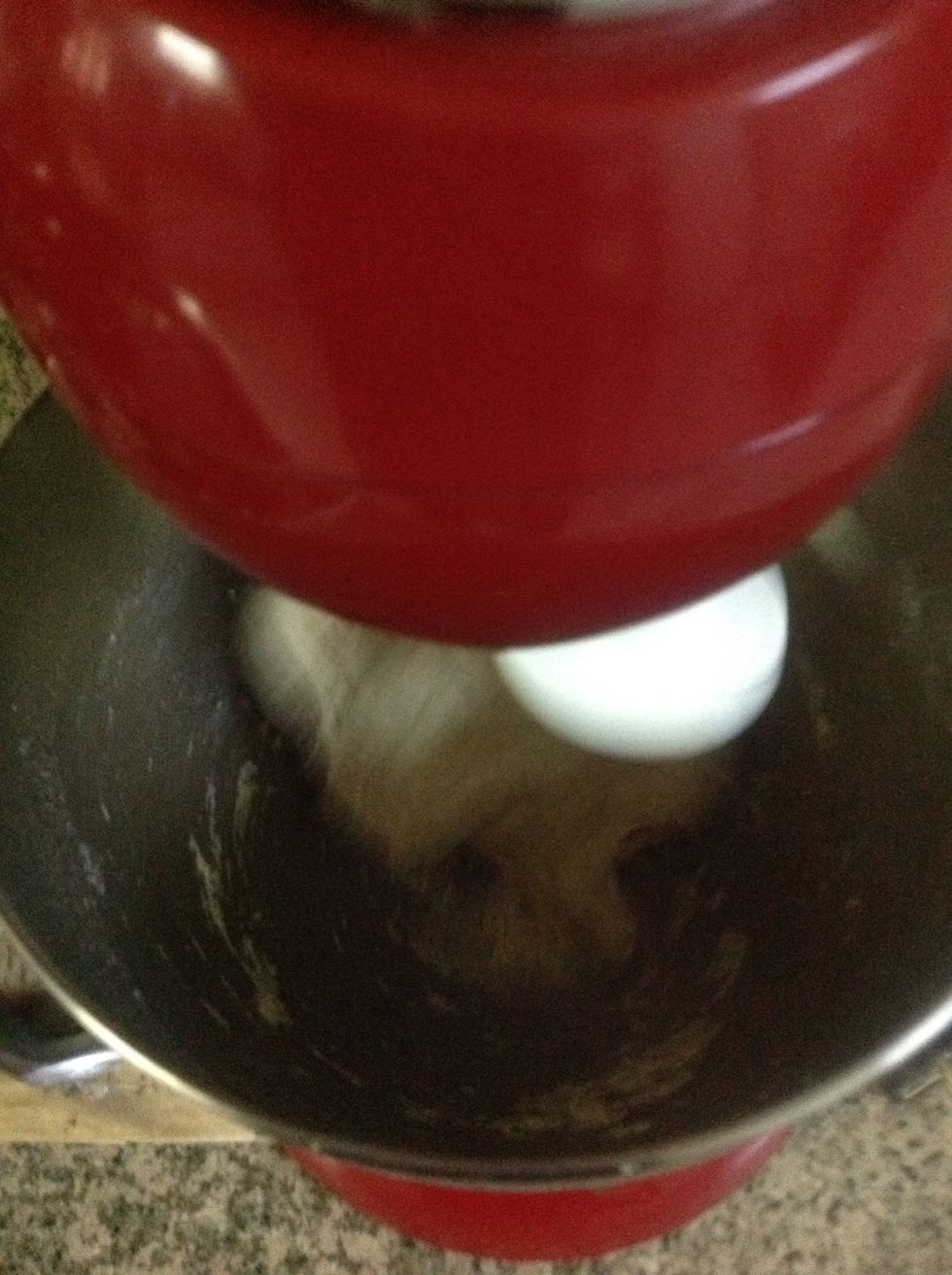 Mix for 7 minutes in a mixer, or kneed for 20 minutes by hand. Very important to develope the glutens. you might add slightly more water or flour as needed to get a smooth homogenous dough.