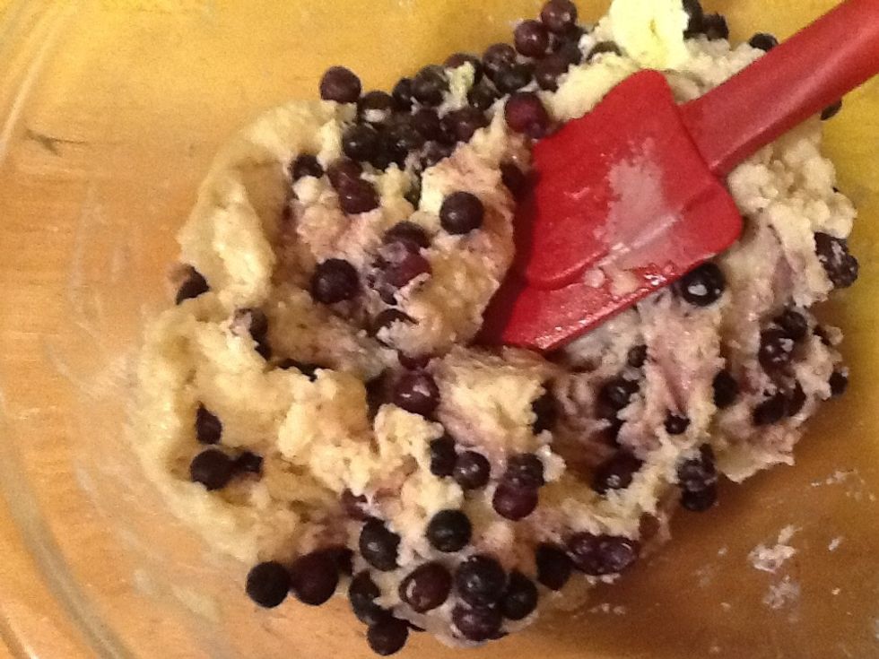 Mix in the blueberries. I like using frozen wild blueberries. They are smaller and easier to use. Again, do not overmix, that is unless you like purple muffins. In that case mix mix mix.