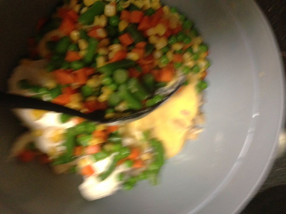 Mix in veges, sour cream & condensed chicken soup. Sorry for the blurry photo =(