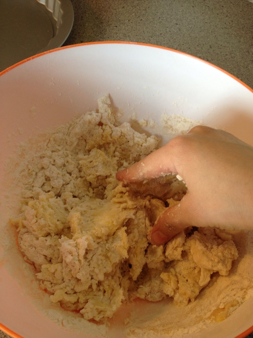 Mix it with your hands for about 5 min until it comes like the next pic