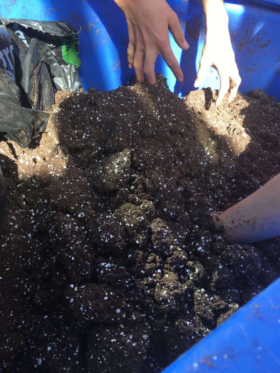 Mix potting soil with water until moist then make sure there are no clumps