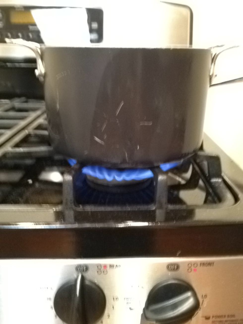 Mix the apple cider vinegar, water and sea salt in a large saucepan over high heat.