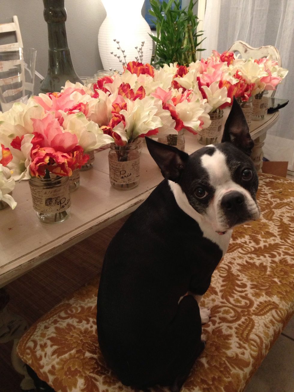 Mix the flowers up if you want. My little boy loves them.