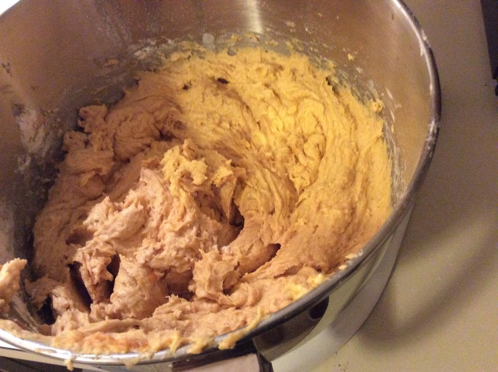 Mix the ingredients together until they are all mixed well and distributed evenly.