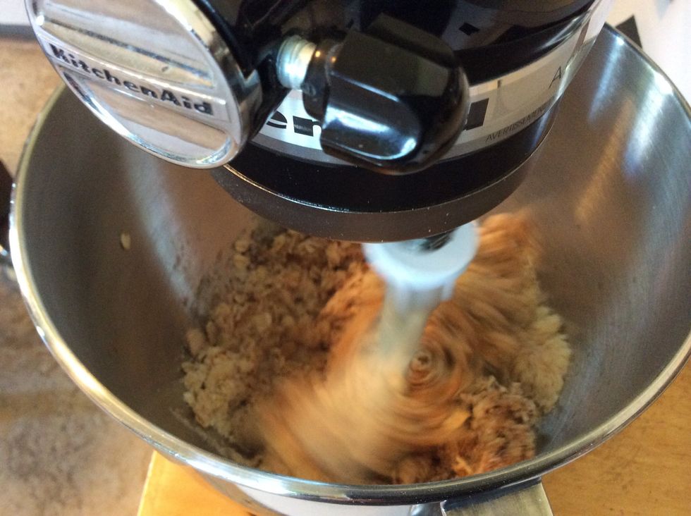 Mix until all ingredients are incorporated and sticking together a bit, kind of crumbly.