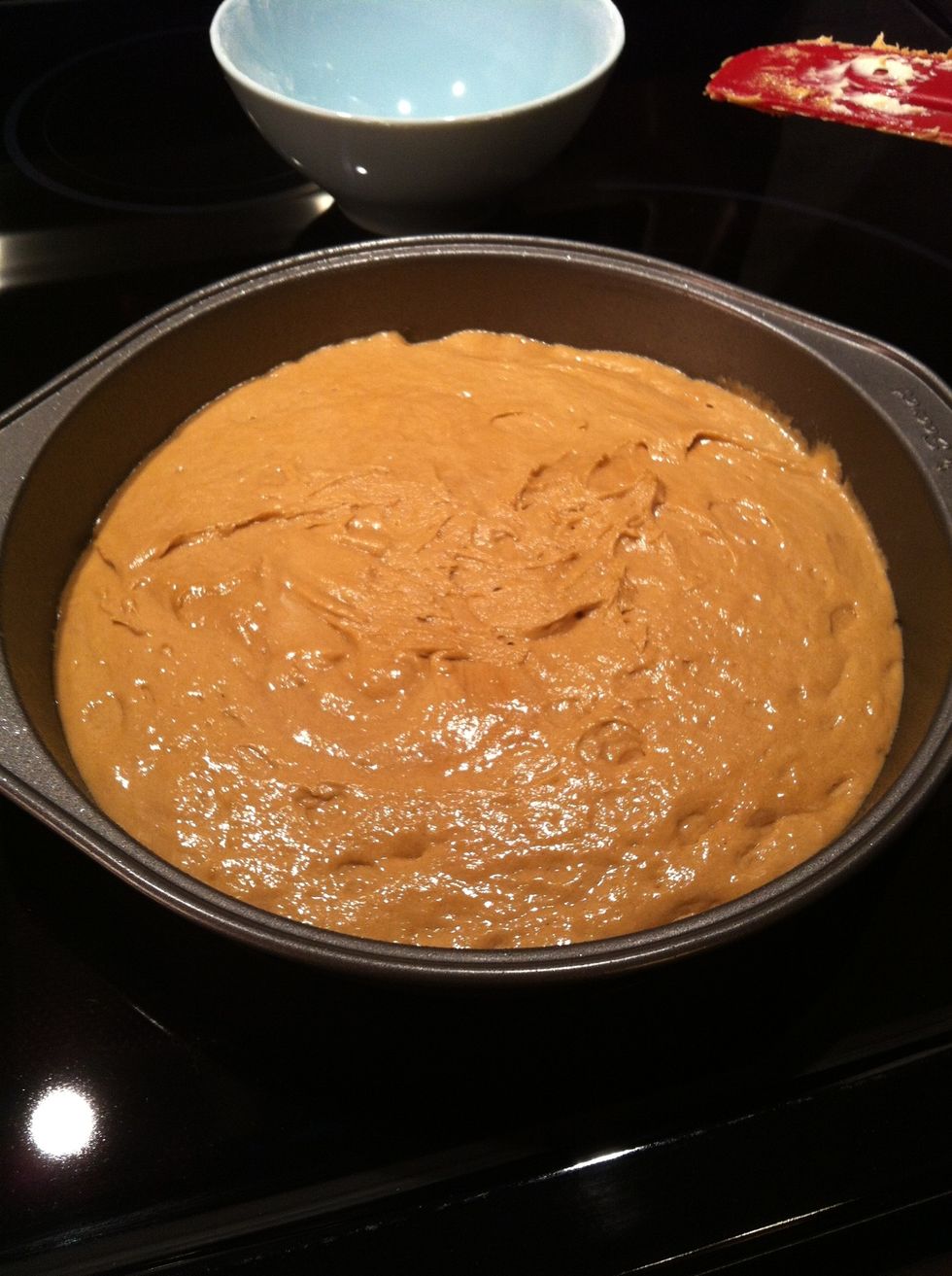 Mix until just combined then pour into a 9-inch cake tin