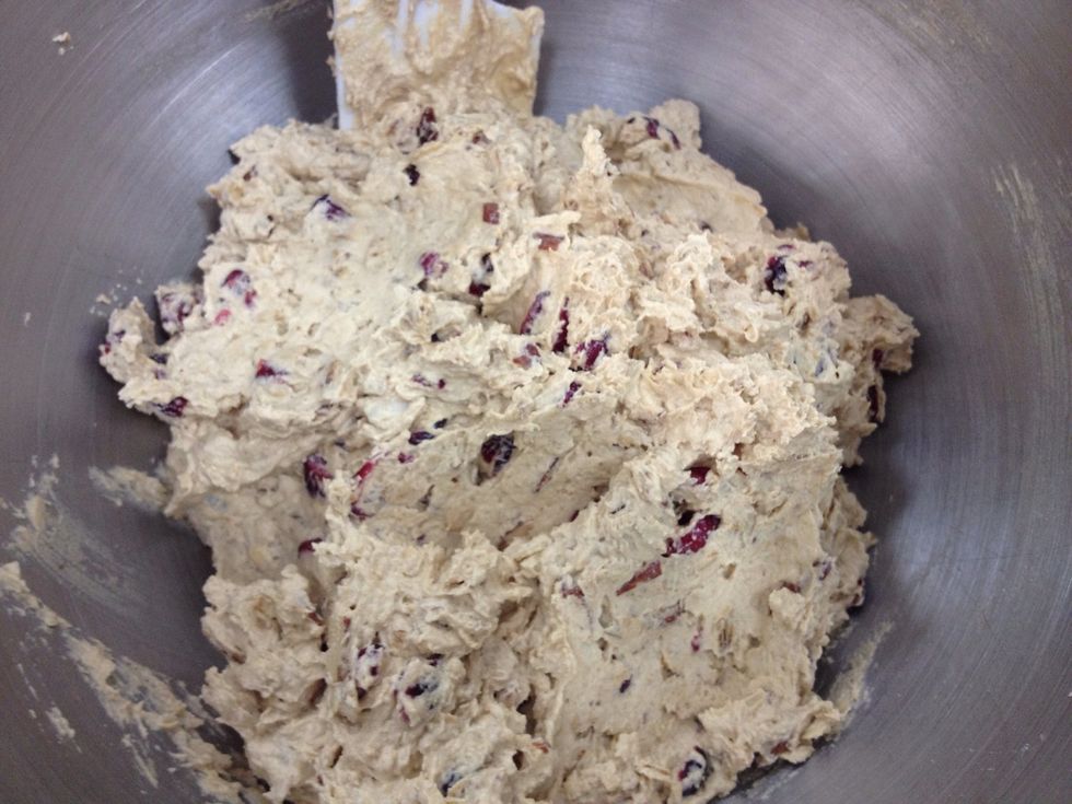 Mix until the ingredients are just combined.