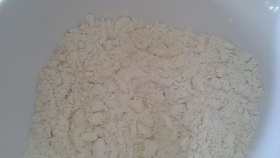 Mixture should look like this. See how the butter is a little smaller and covered in flour?  I don't think it looks like wet sand or the size of peas...it looks like shaggy/scraggly flour to me! :)