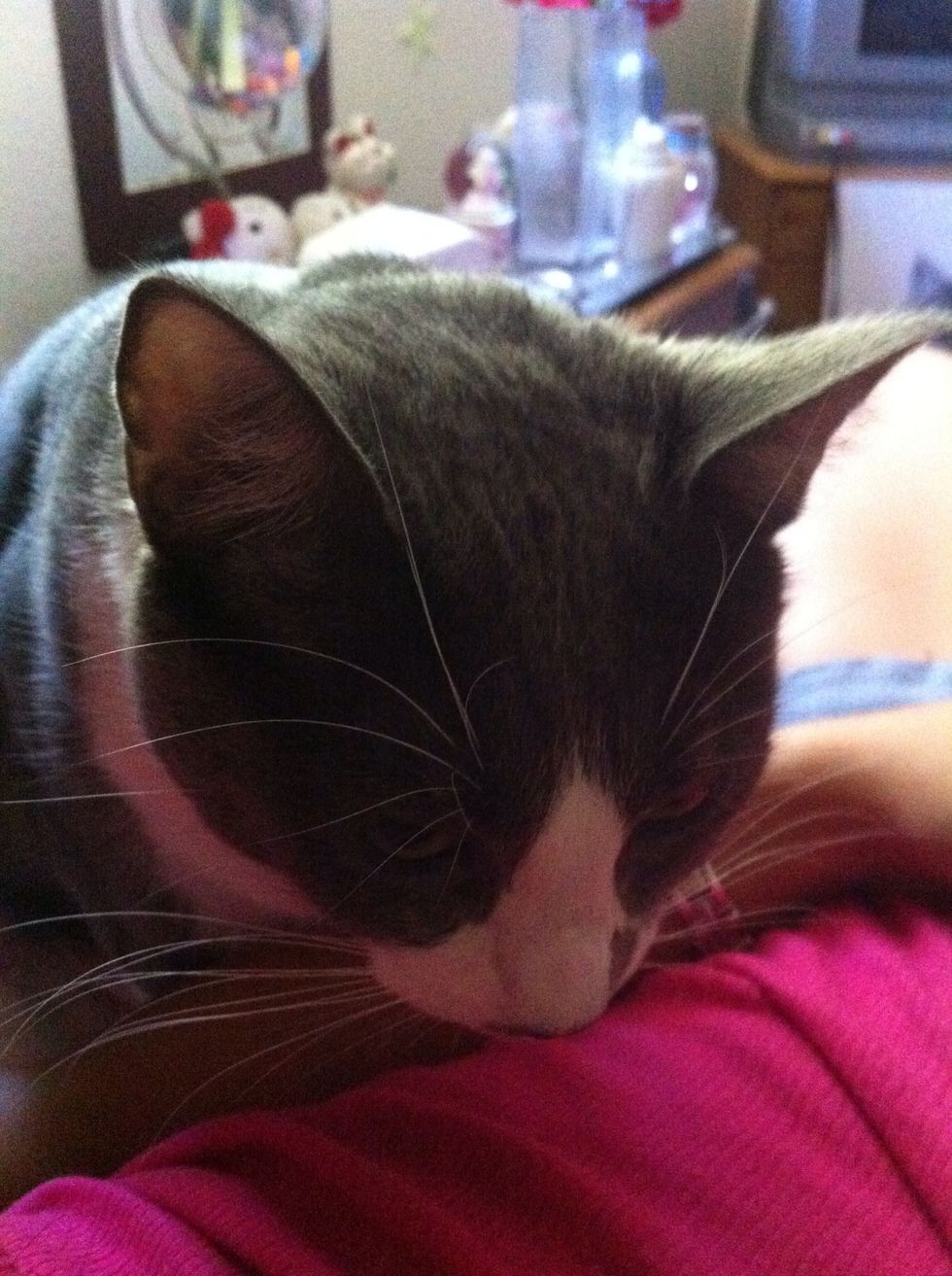 Miyu says: " awwww not a bag til after the party's over. " I know the purpose of the bag was for my halloween costume ! But just a back to go with the costume will have to do for now !