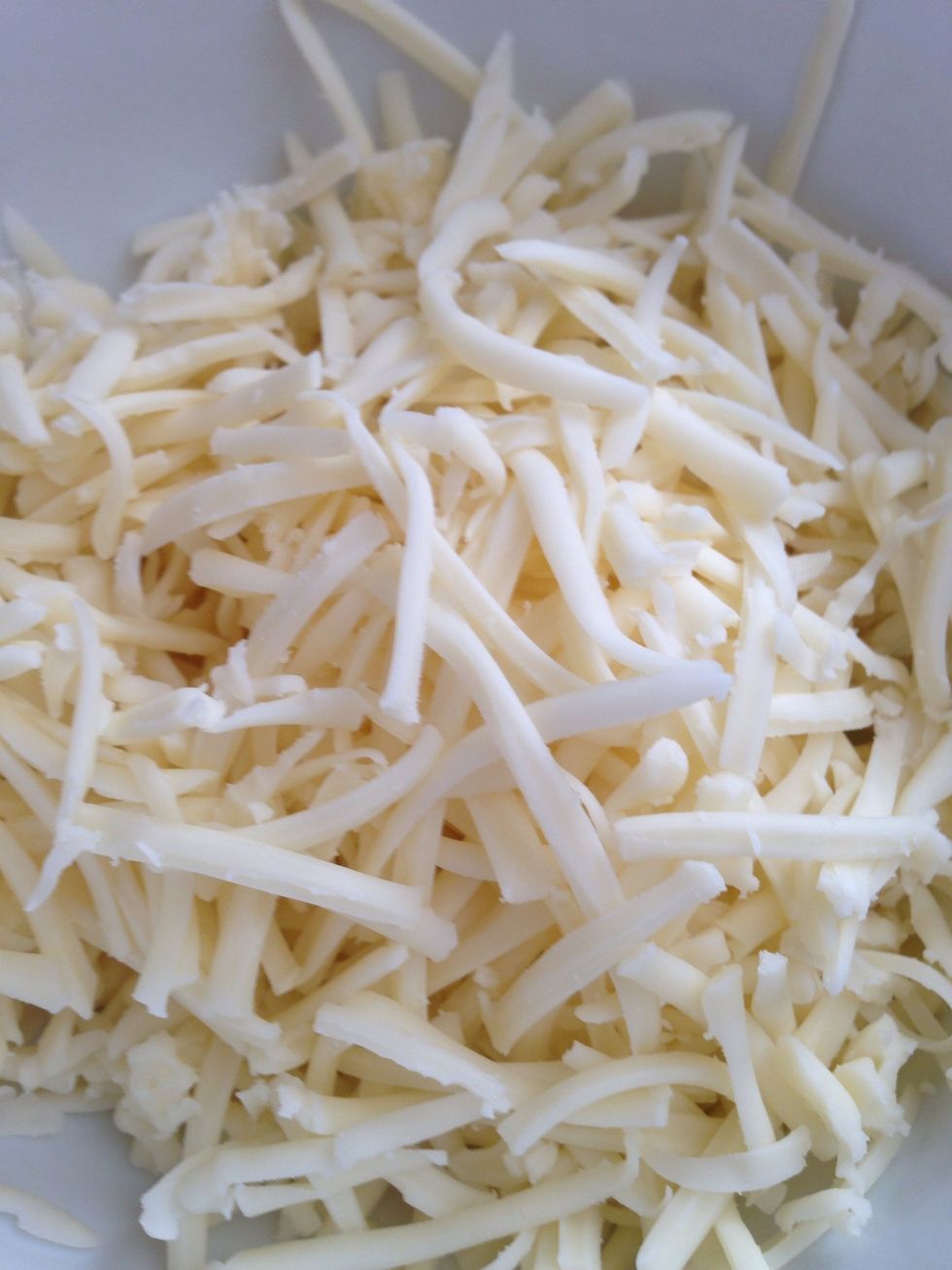 Mmmm cheese.. TIP: While I normally wouldn't use cheddar for quesadillas, I've used an applewood smoked cheddar several times - VERY good. Downside is it's $7-8 for a small block.