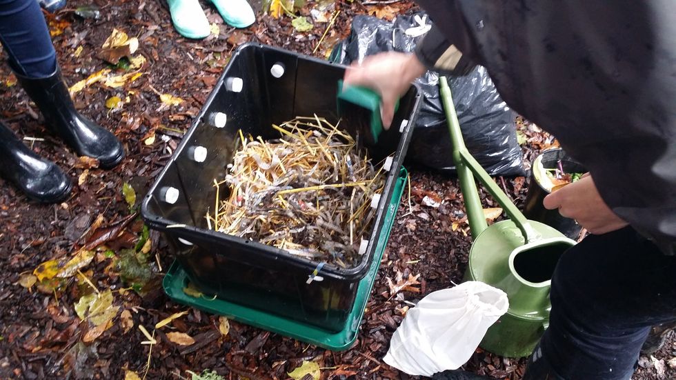 Moisten the bedding, wring out any excess water (it should feel like a sponge that has been wrung out). Worms don't have teeth, so add a bit of dirt to help the worms breakdown food.