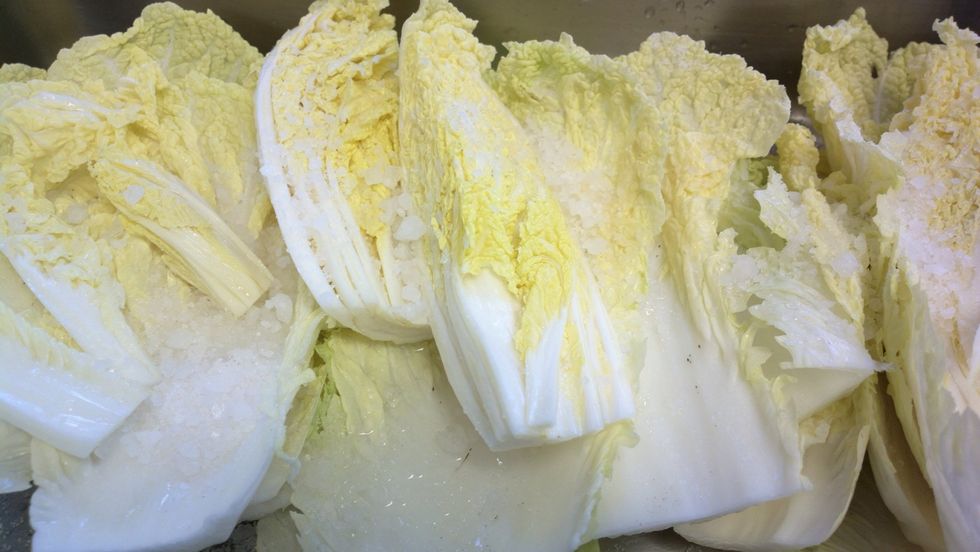 More cabbage layers, more salt layers. Remember just a light sprinkle of salt. And submerge the cabbage with water. So they all are just covered.