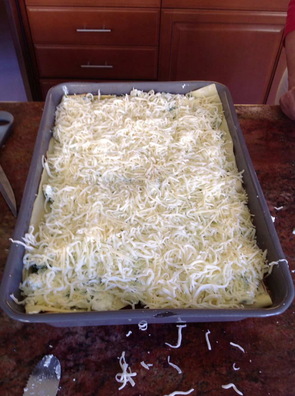 More Ricotta, mozzarella and Parmesan layer.