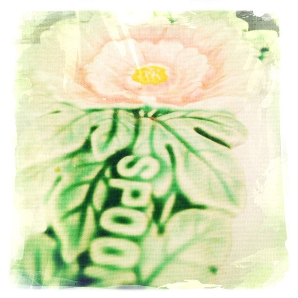 Most of all, make sure your own Survival Kit is filled with love, insight, and lots of practical advice.