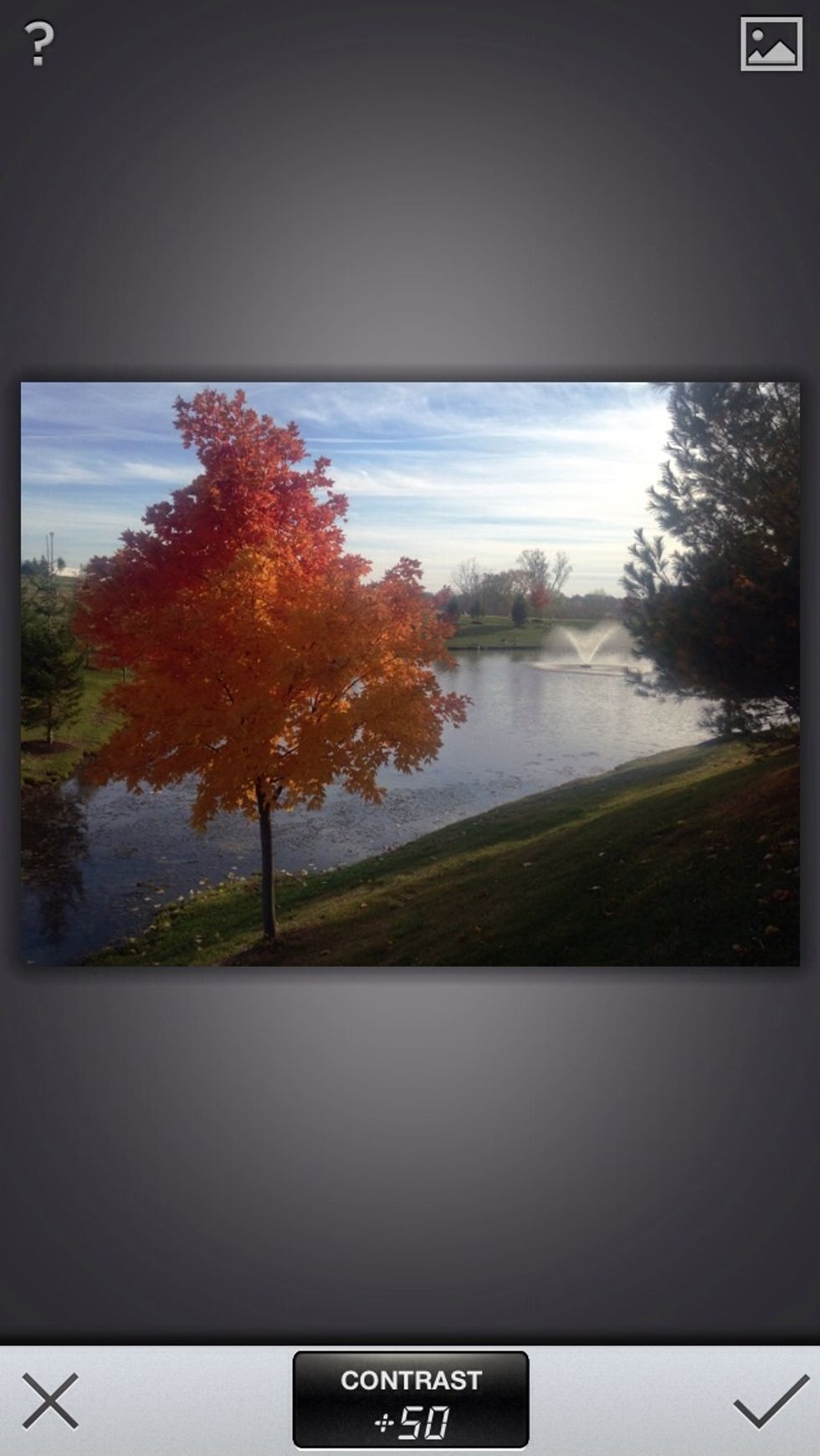 Most photo editors have an automatic adjust setting, where the image is automatically edited for you, however, most of the time you will get the best results by manually adjusting the photo