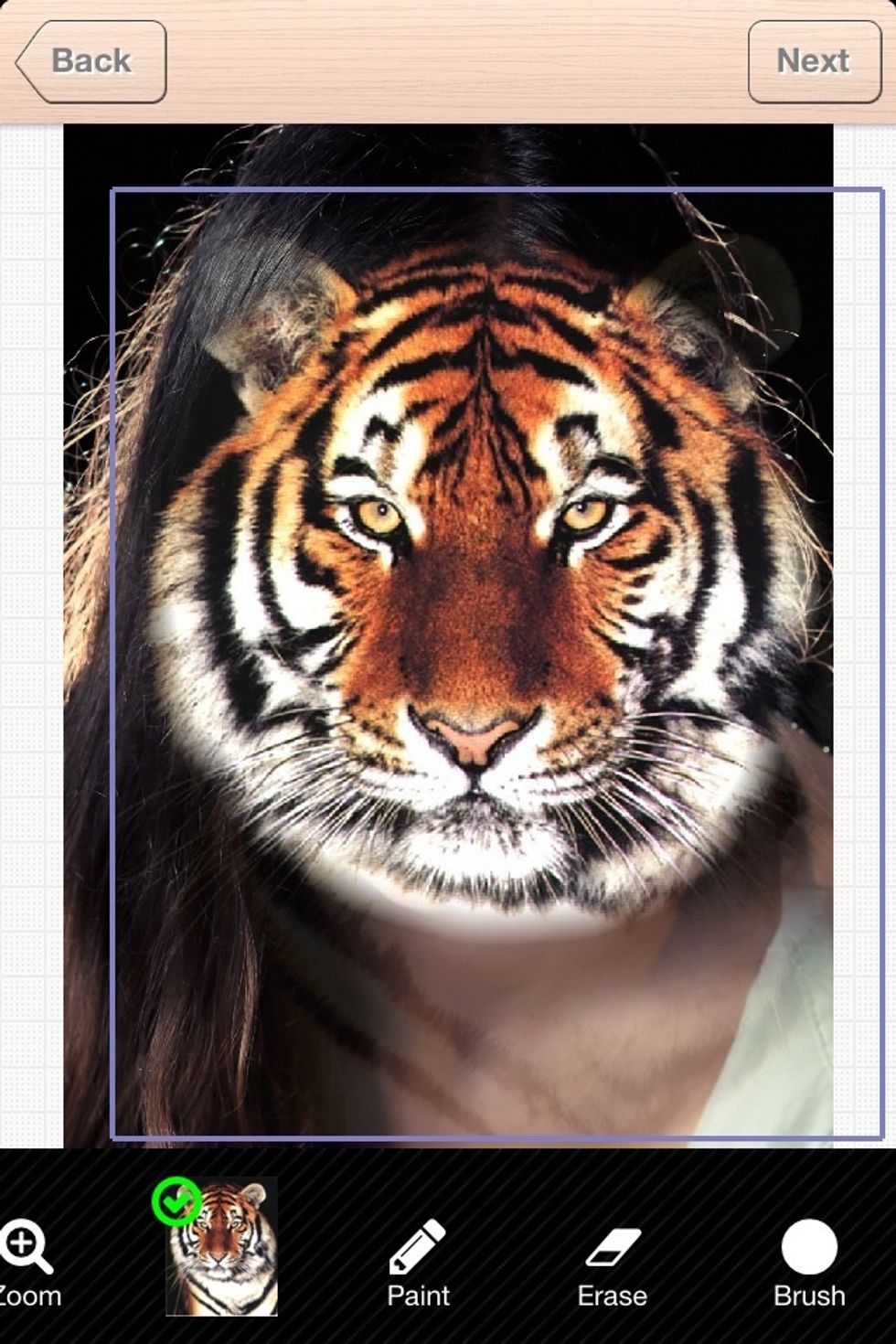 Move, rotate and resize the tiger face to near where you want it to be. But do not need to be precise at this step.